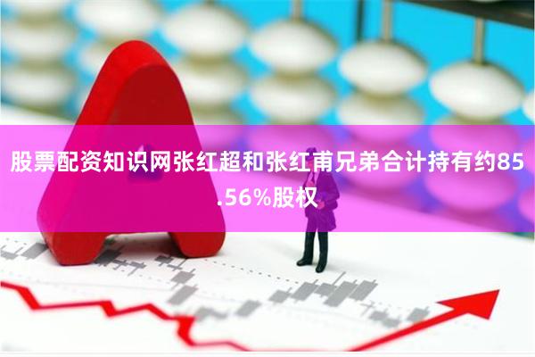 股票配资知识网张红超和张红甫兄弟合计持有约85.56%股权