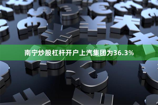 南宁炒股杠杆开户上汽集团为36.3%