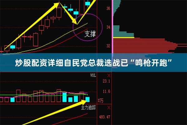 炒股配资详细自民党总裁选战已“鸣枪开跑”